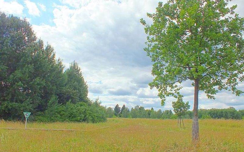 Zwangsversteigerung Land-/ forstwirtschtl. Flächen in  Escheburg