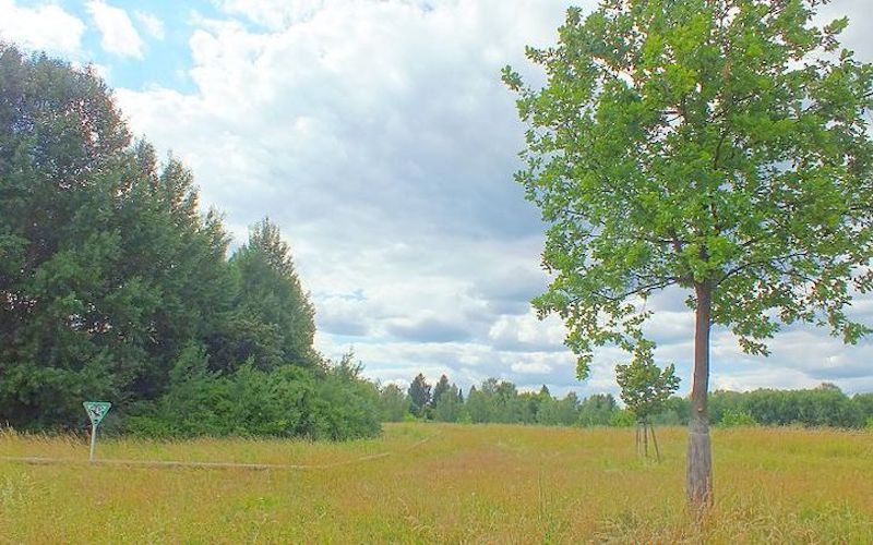 Zwangsversteigerung Waldfläche und Teichfläche in 23923 Selmsdorf