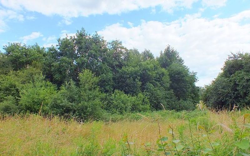 Zwangsversteigerung Zwei als Grünland genutzte Grundstücke in 56457 Westerburg