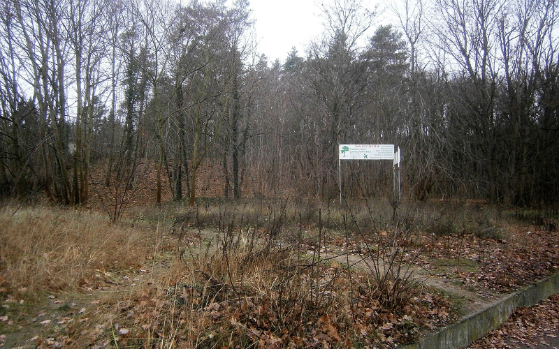 Zwangsversteigerung Unbebautes Grundstück, nutzbar als Bauland  in 09212 Limbach-Oberfrohna